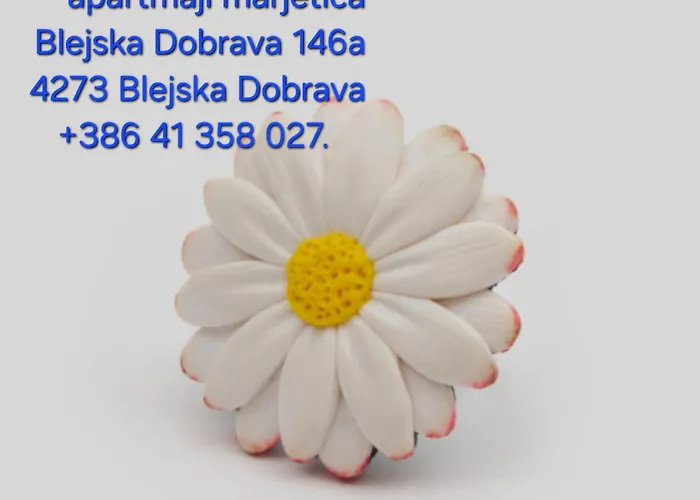 Apartma Marjetica