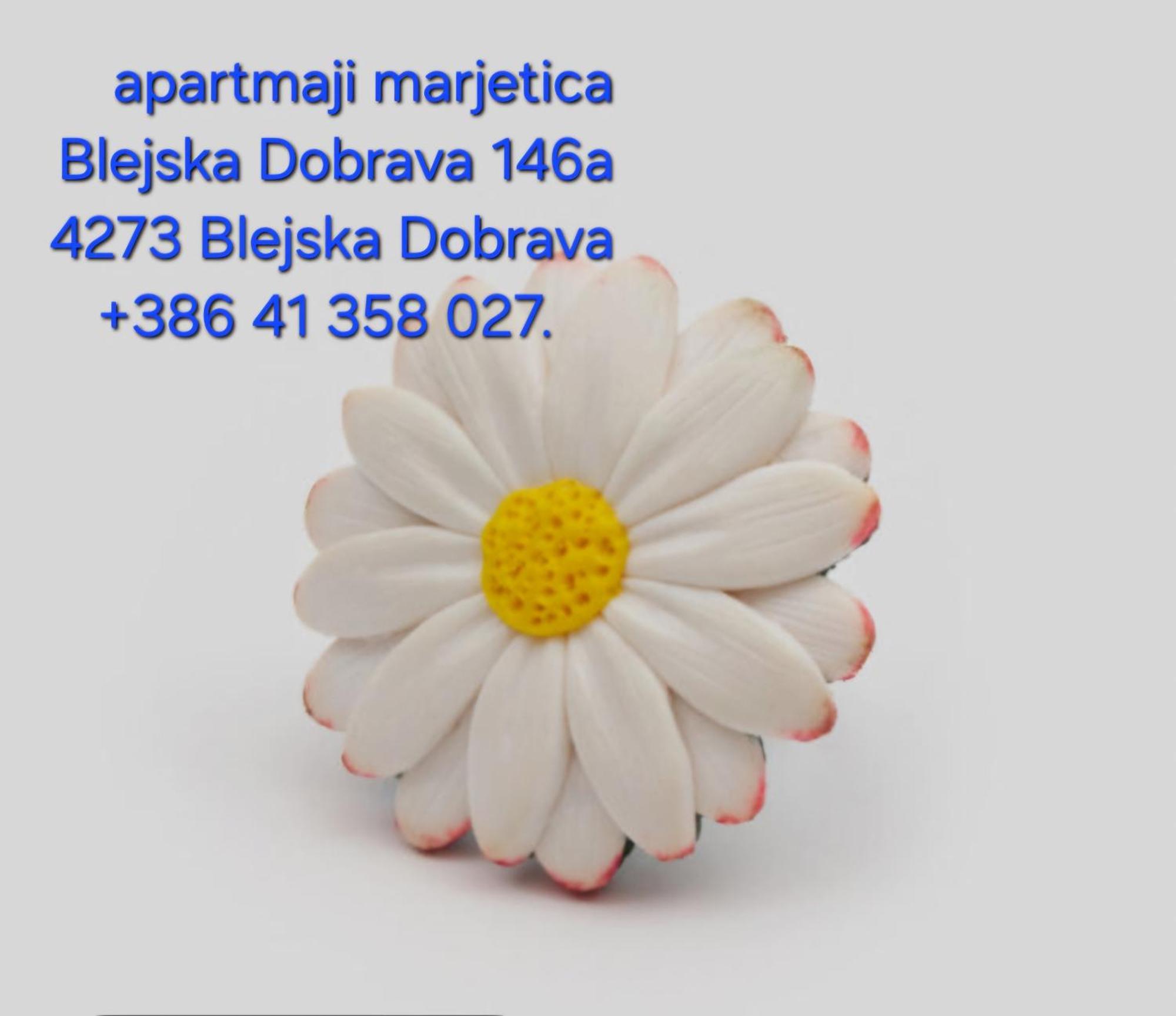 Apartment Apartma Marjetica *